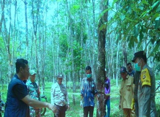 Identitas sesosok mayat pria yang ditemukan di kebun karet oleh warga Desa Ngestiboga II Kecamatan Jayaloka, Kabupaten Musi Rawas sudah diketahui, Kamis (7/11/2024) pagi sekira pukul 08.00 Wib.